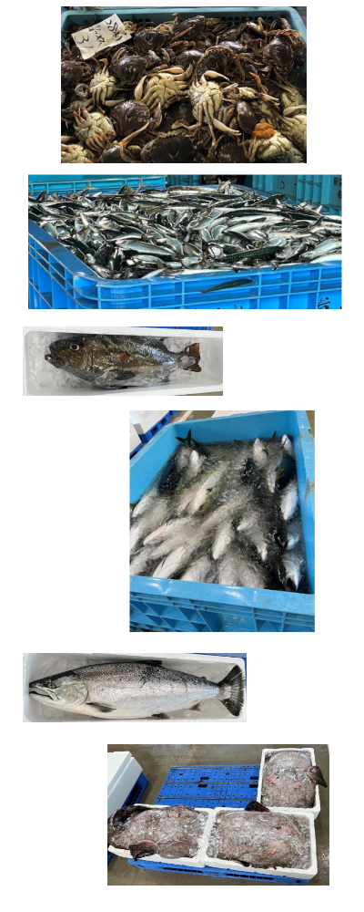 青森県産の鮮魚